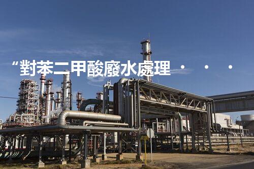 “對苯二甲酸廢水處理，綠色創(chuàng)新引領環(huán)保新篇章”